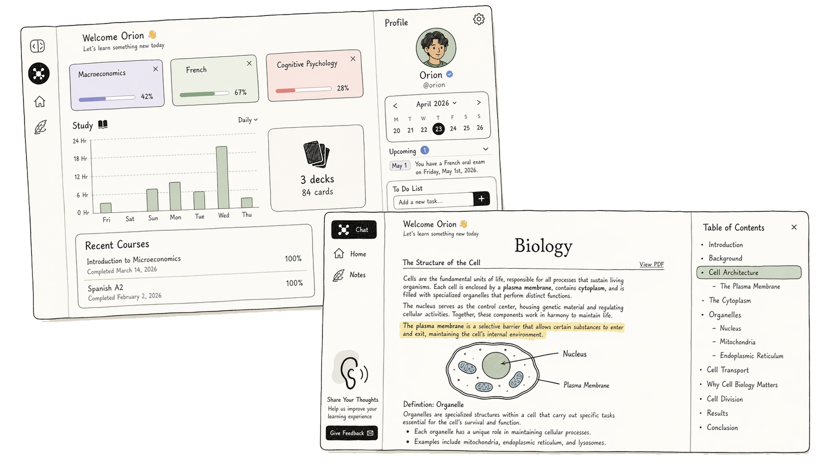Pallas - AI Learning Workspace